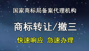 鍟嗘爣杞/鎾や笁鐢宠