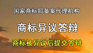 鍟嗘爣寮傝绛旇京