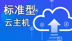 鏍囧噯鍨?浜戞湇鍔″櫒